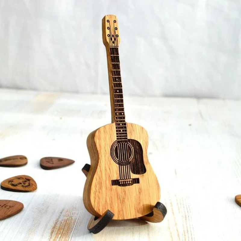Plectrum Organizer