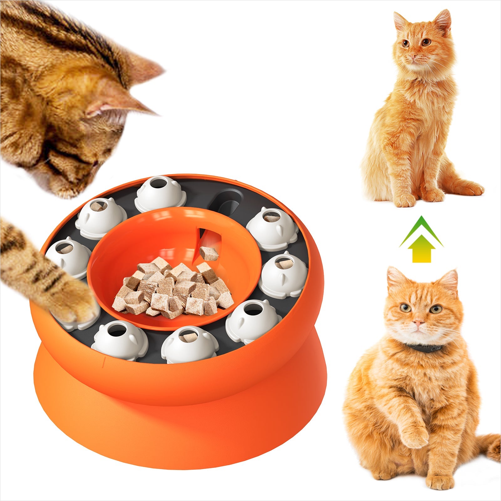 Weight Loss Cat Bowl – Slow Feeder Anti-Gulp Design