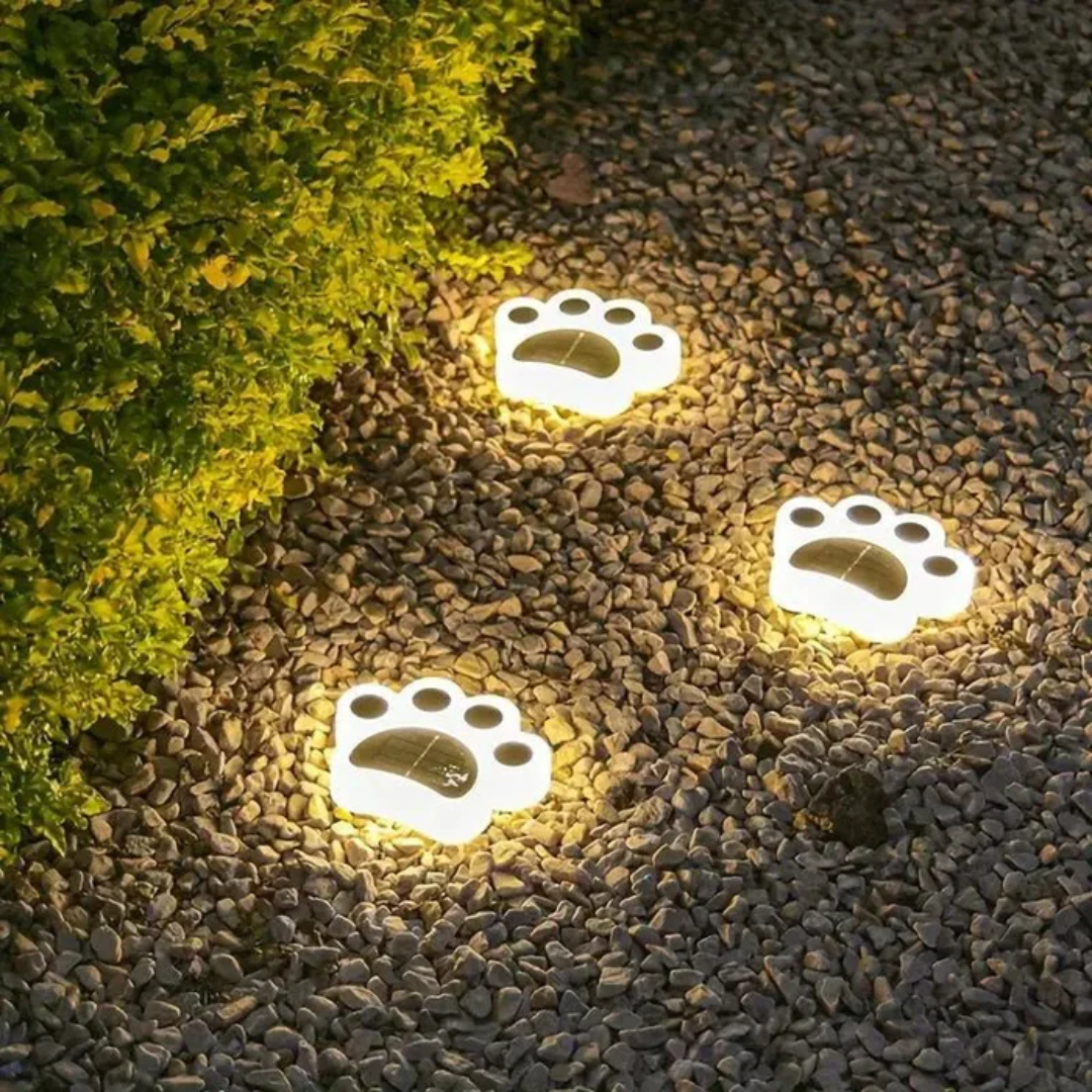 Solar Outdoor Lamp