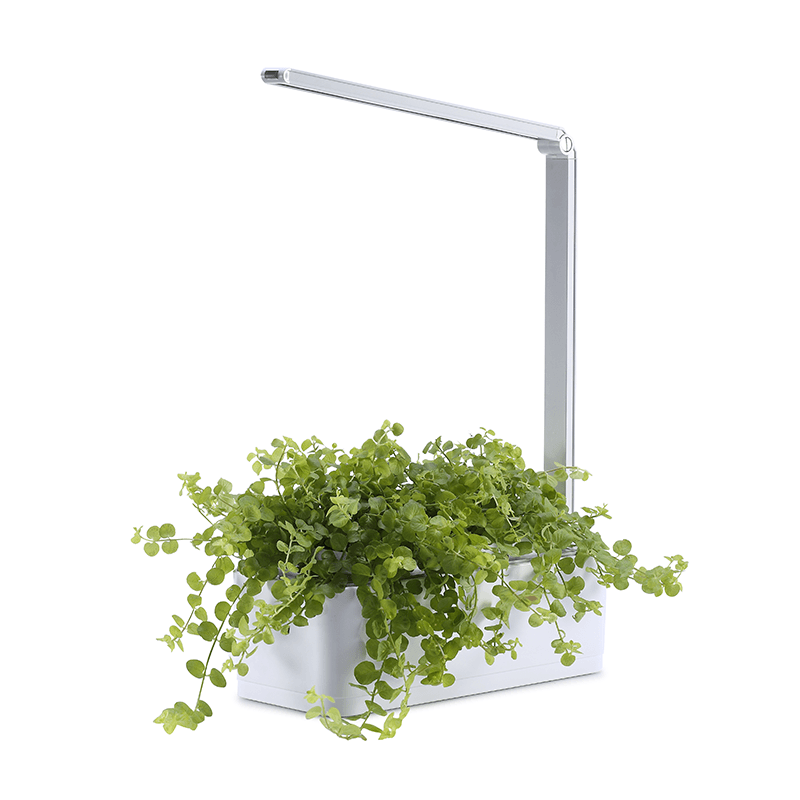 Hydroponic Systems with Led Plant Grow Light, Intelligent Watering, Water Shortage Reminder and Timer Switch (with US Standard Plug, 110v~220v)