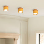 Ceiling Light with Pink Flush Wood Finish