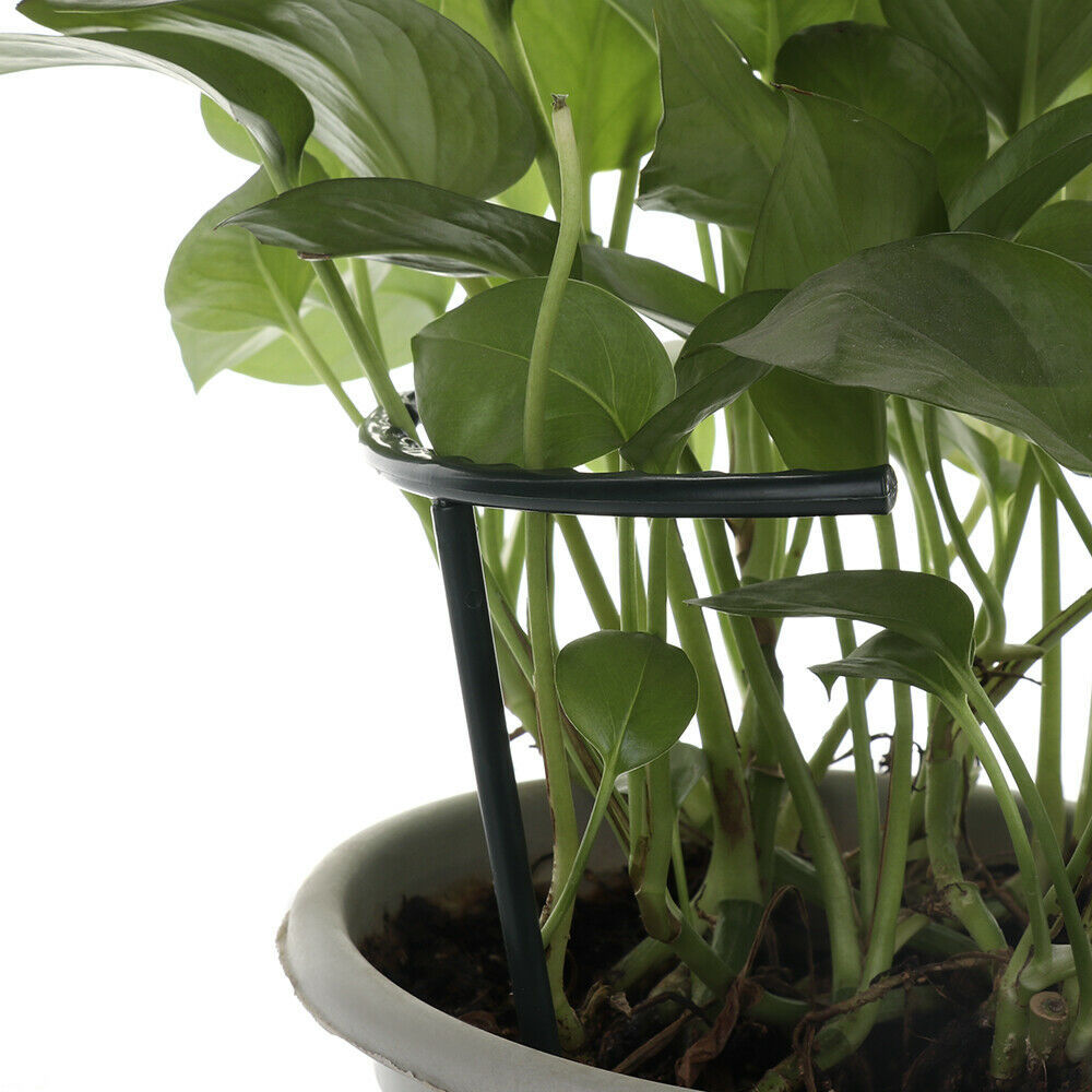 Climbing support for plants – Robust holder with cage design for growth and stability