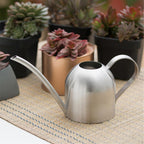Stainless Steel Watering Can with Flexible Neck | Modern Design | Perfect Watering | Rustproof