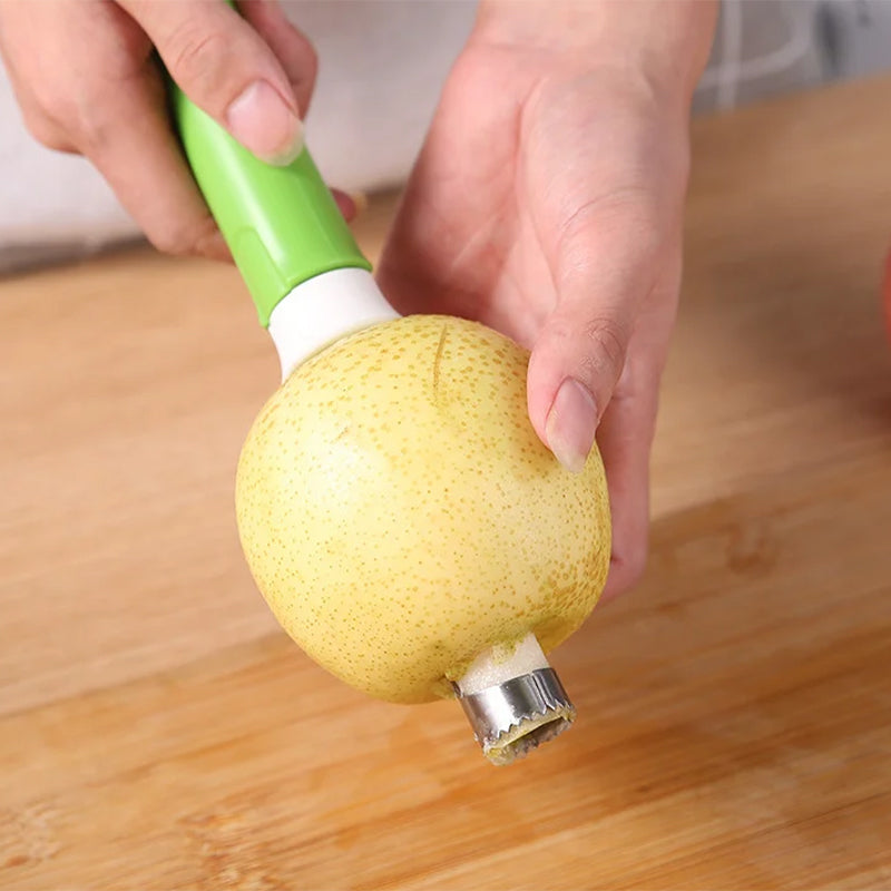 Stainless Steel Fruit Pits