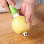 Stainless Steel Fruit Pits