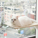 Foldable Cat Window Bed