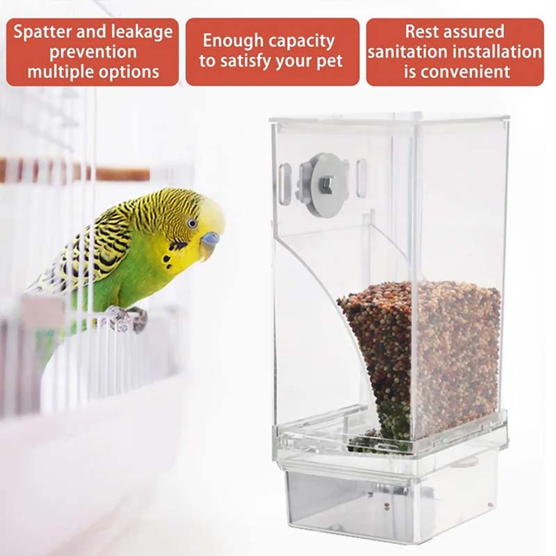 Automatic transparent bird feeder without spills