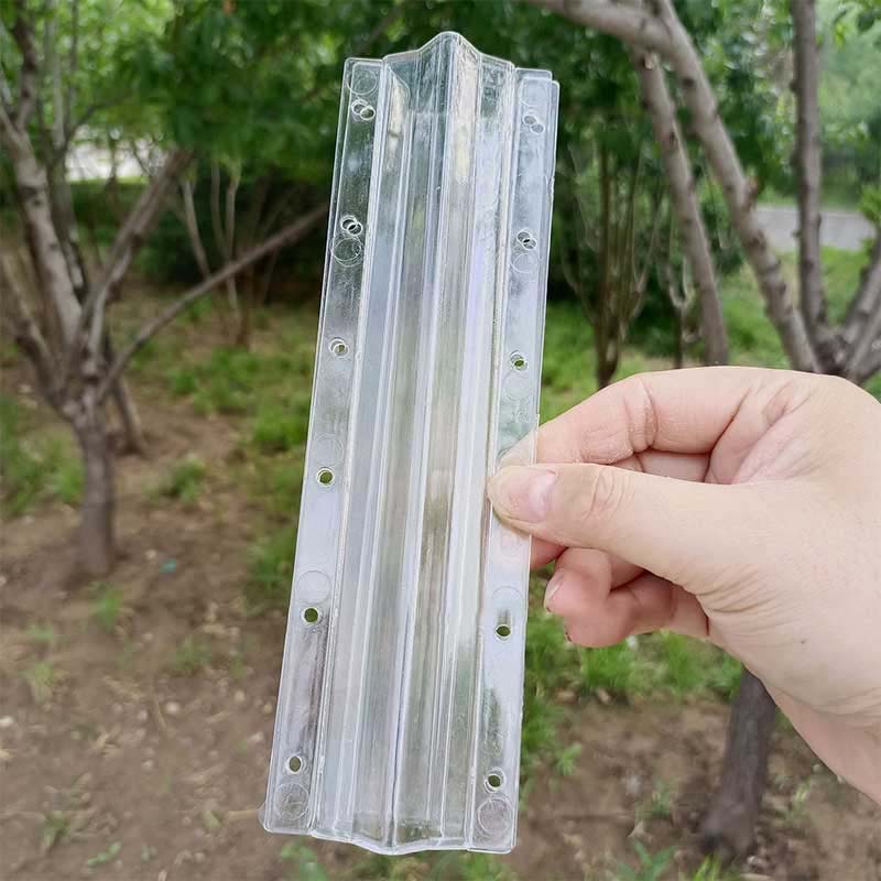 Love Shape Cucumber Growth Form