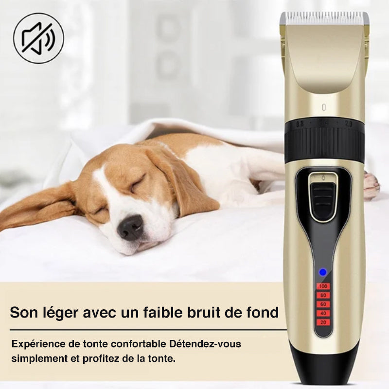 Professional pet grooming kit