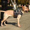 Orthopedic Strap for Hind Legs