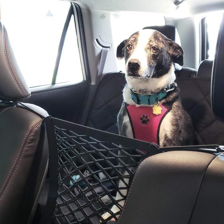 Car Seat Storage Net Hook Organizer