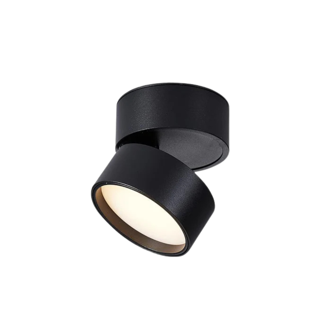 Adjustable LED Ceiling Lamp