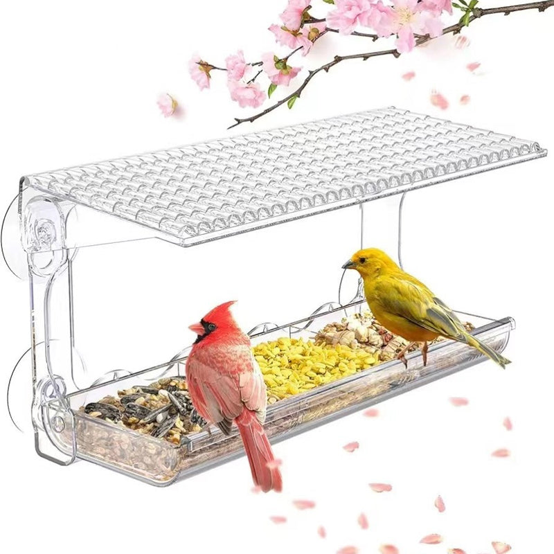 Outdoor Clear-Window-Suction-Cup-Birdhouse
