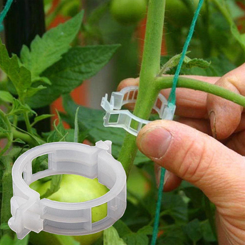 50/100/150pcs Plant Support Clips, Vine Vegetable Fastening Clips