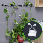 Wall clips for climbing plants (30 pieces)