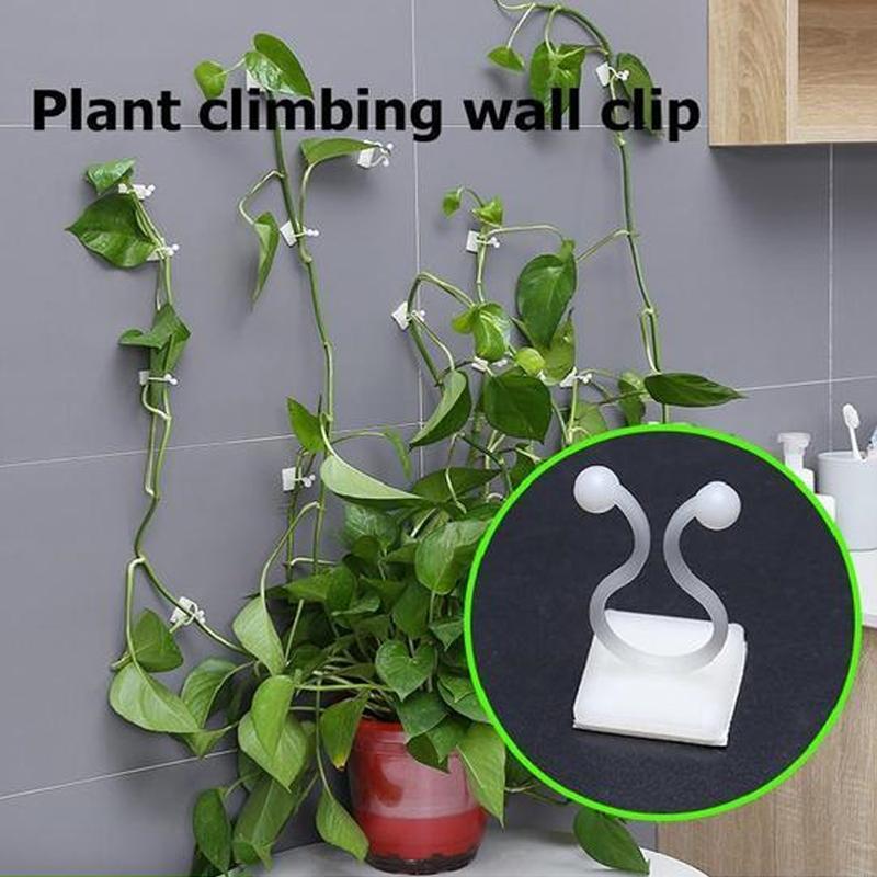 Wall clips for climbing plants (30 pieces)