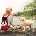 Portable backpack for dogs and cats on travels