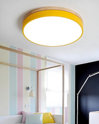 Modern Ceiling Lamp with Nature-Inspired Shape