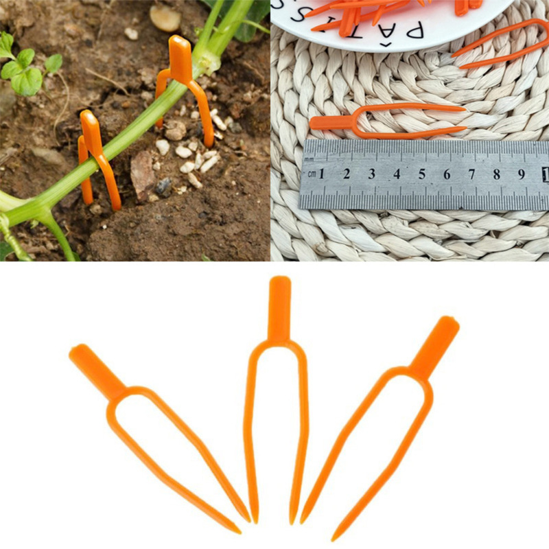 Garden plants support clamps made of plastic for optimal plant stability