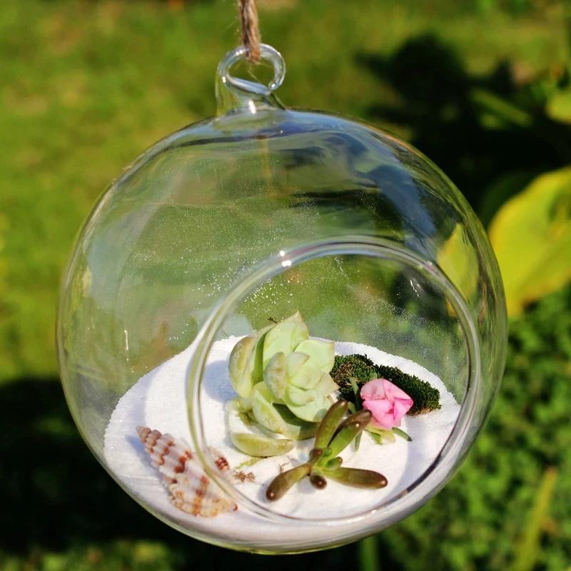 Hanging Glass Herb Pots