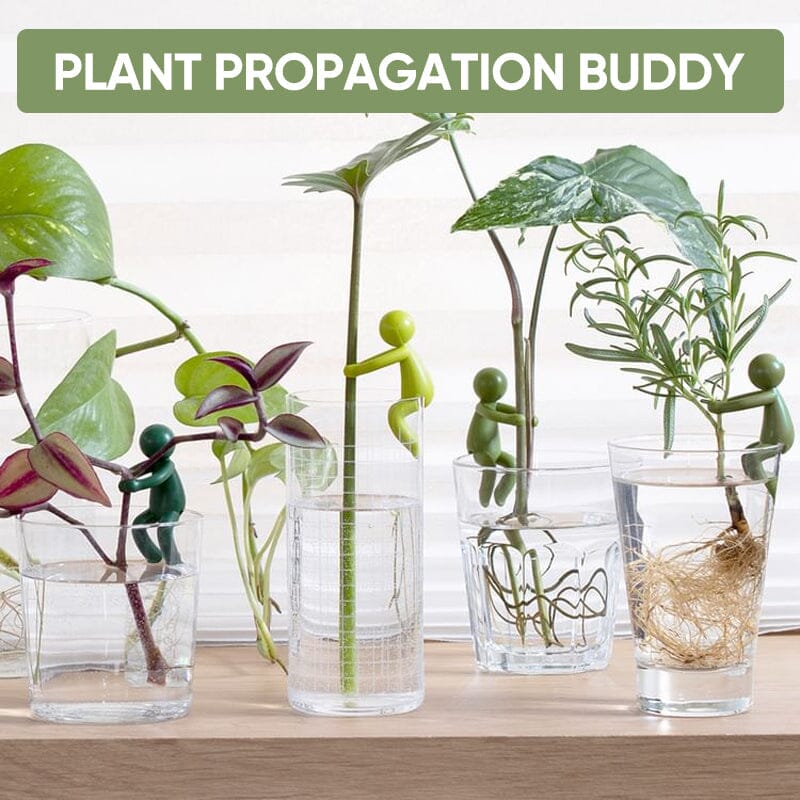 Plant Propagation Friend