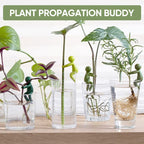 Plant Propagation Friend