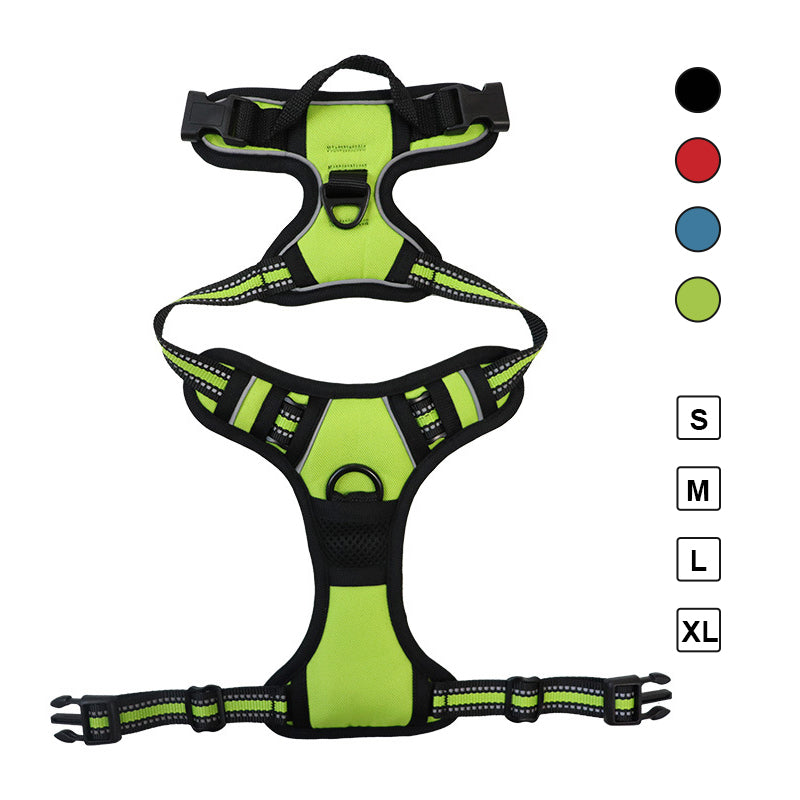 3-in-1 Pet Walking Kit