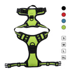3-in-1 Pet Walking Kit