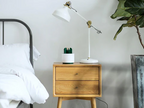 Mosquito Cactus Lamp