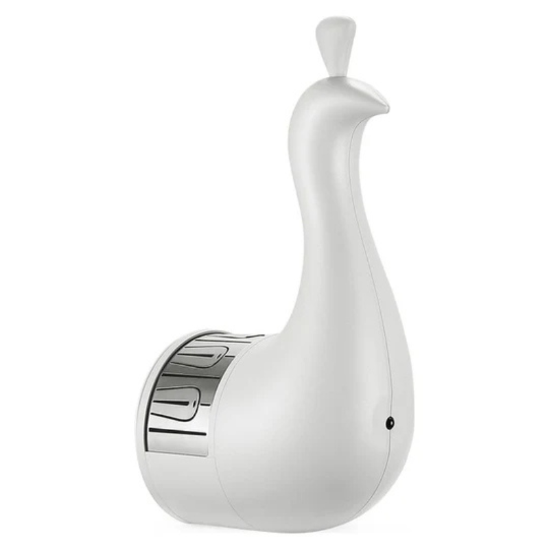 Decorative lamp with remote control and color effects