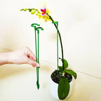 Plant support