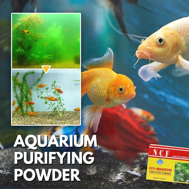 Aquarium Cleaning Powder