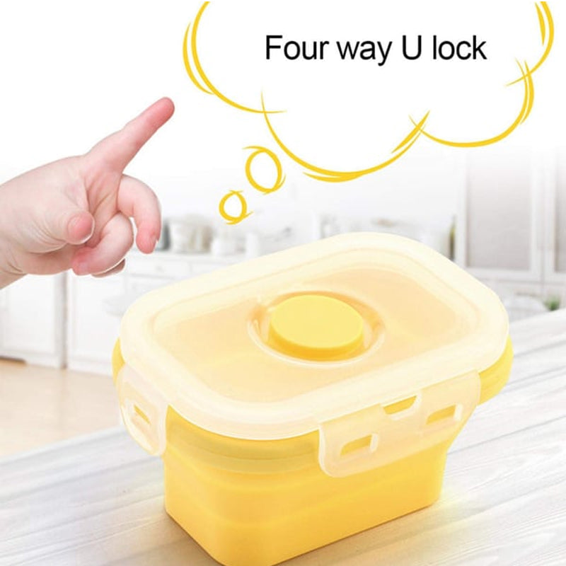 Sealable Food Storage Box