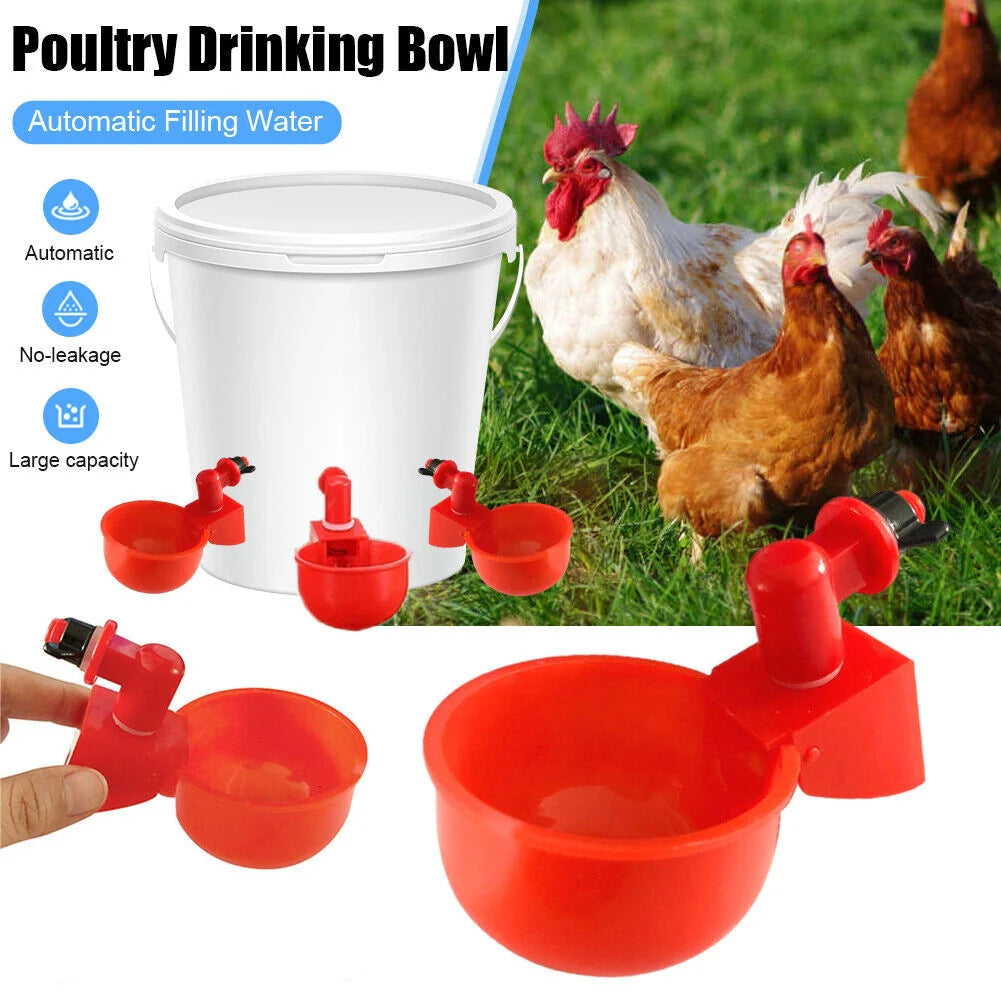 Automatic Poultry Drinker