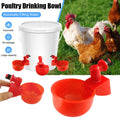 Automatic Poultry Drinker
