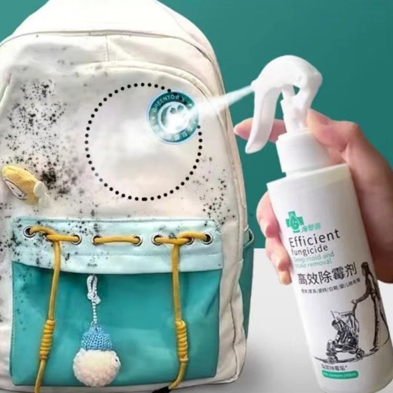 High-Efficiency Mold Remover