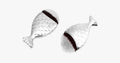 Pair of Fishtail Brushes – For Your Flawless Coverage