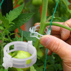 Plant support clips