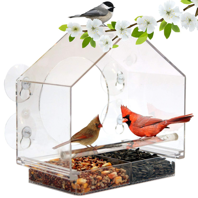 Window Bird Feeder House