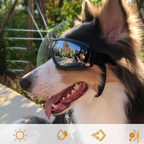 Outdoor Protection Glasses for Dogs