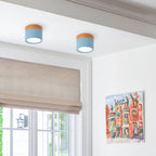 Ceiling Light with Pink Flush Wood Finish