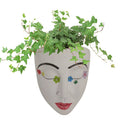 FaceBloom hanging plant box