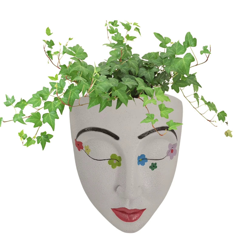 FaceBloom hanging plant box