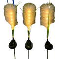SolarPlume Outdoor Courtyard Lamps