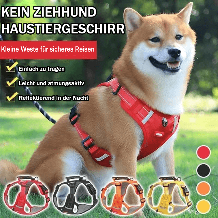 No Pull Dog Harness for Pets