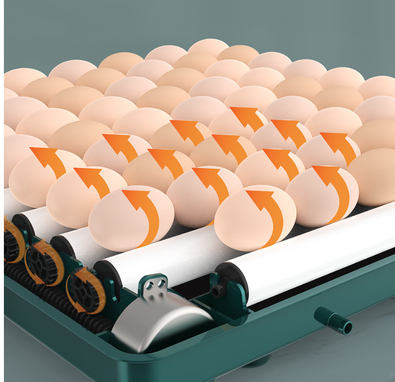 Digital Egg Incubator with Adjustable Tray