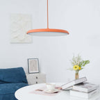 Hanging Lamp with a Simple Form for Modern Interiors