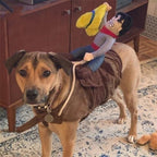 The Cowboy Rider Dog Costume