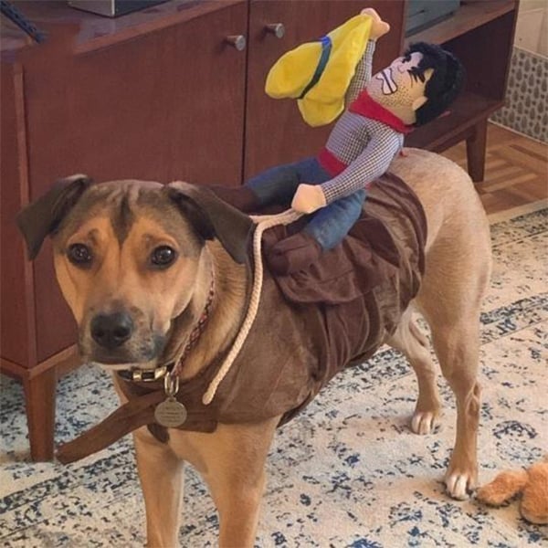 The Cowboy Rider Dog Costume
