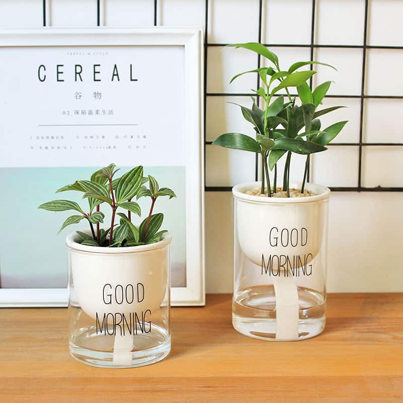 Self-watering Hydro-Flower Pot